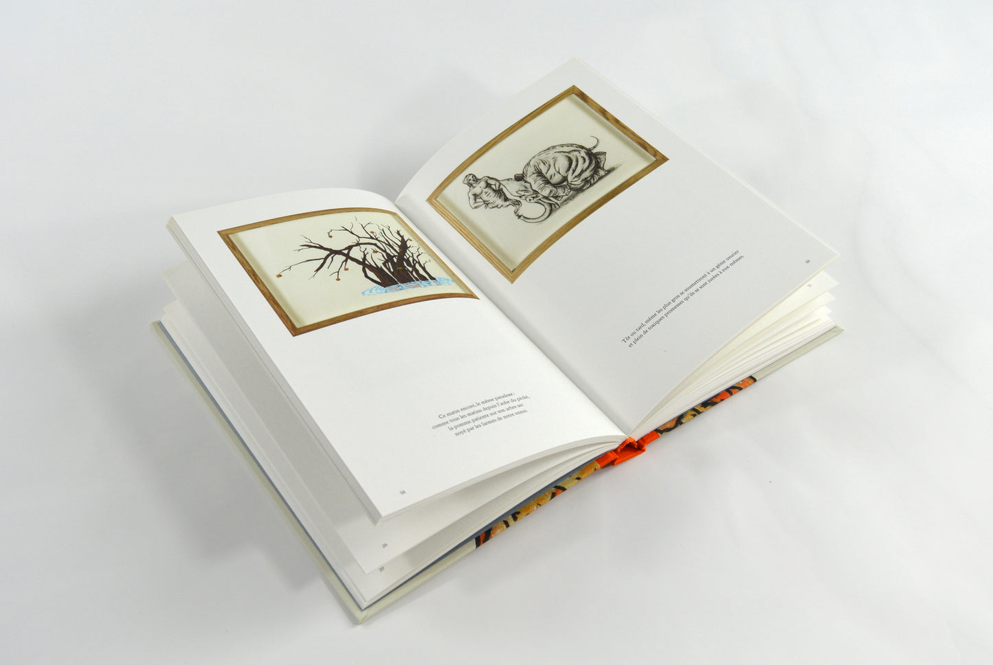 Catalogue PHILIPPE MAYAUX - Desseins