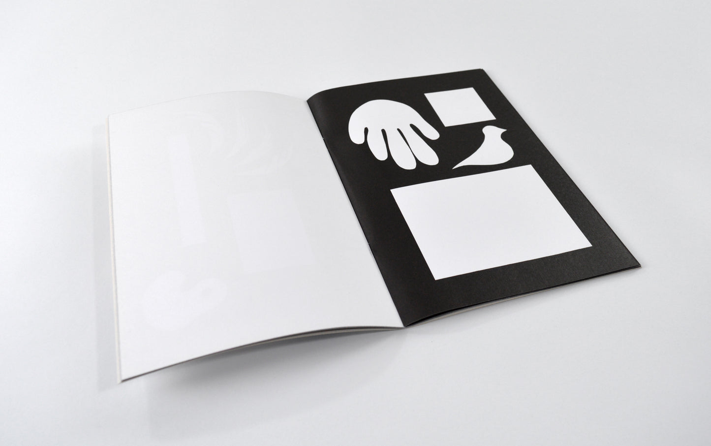 Color me - KARINA BISCH & NICOLAS CHARDON