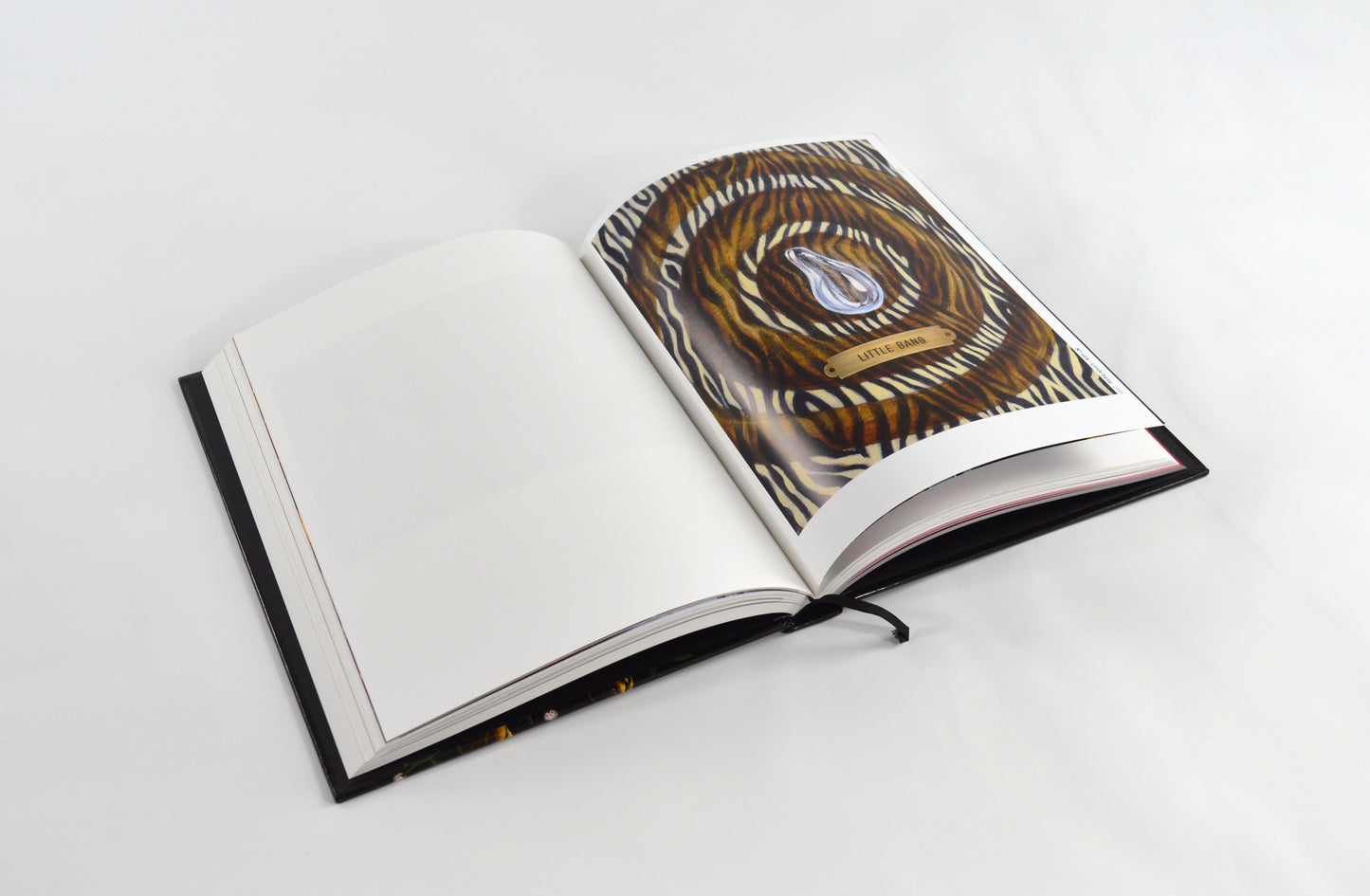 Catalogue PHILIPPE MAYAUX - Mayaux