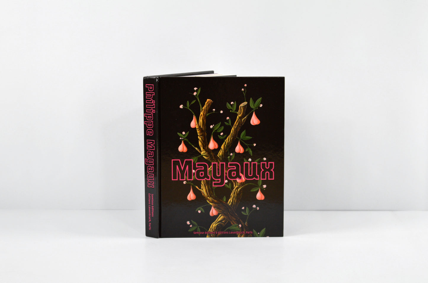 Catalogue PHILIPPE MAYAUX - Mayaux
