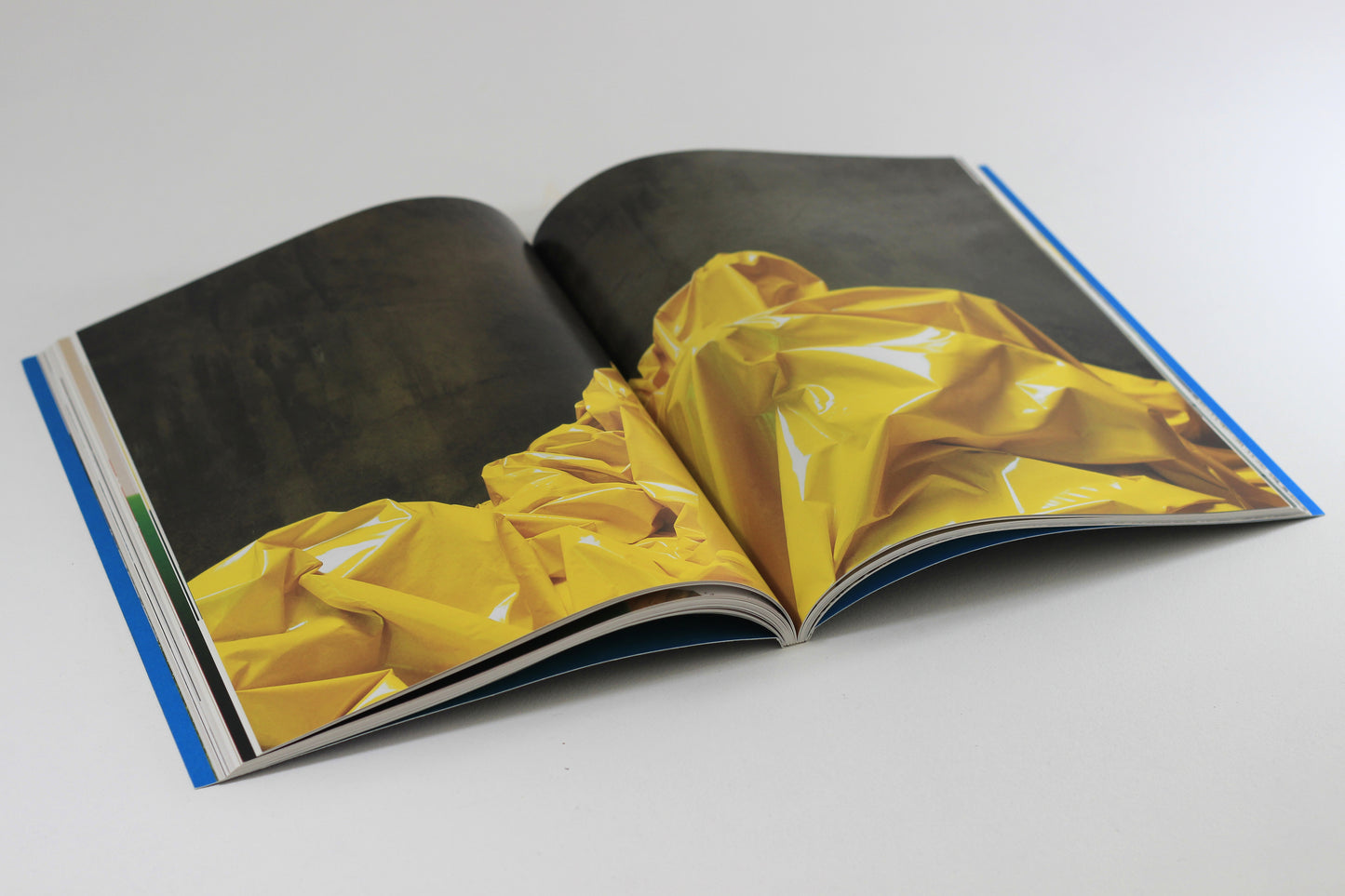Catalogue DELPHINE COINDET