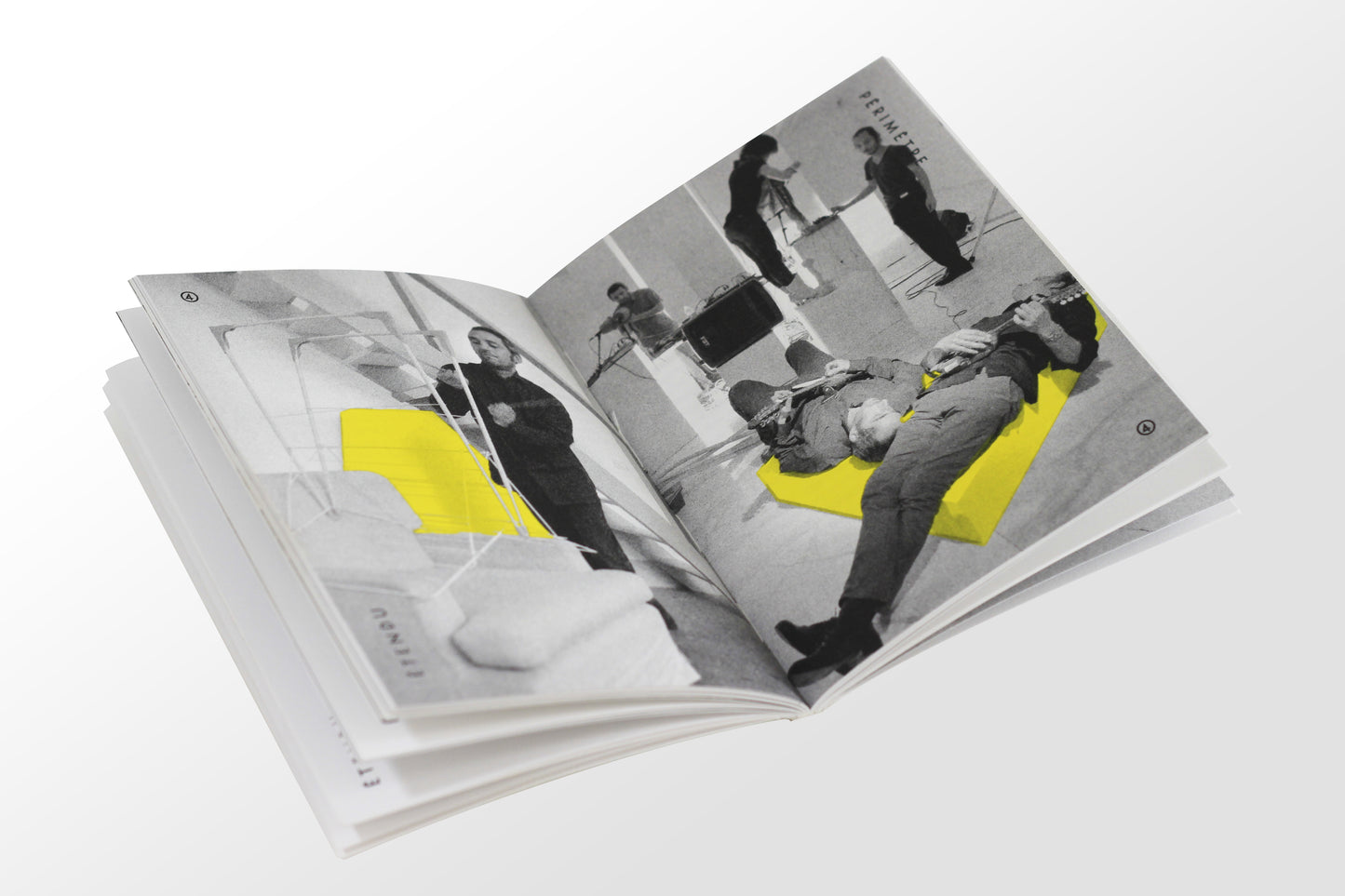Catalogue DELPHINE COINDET - Périmètre étendu